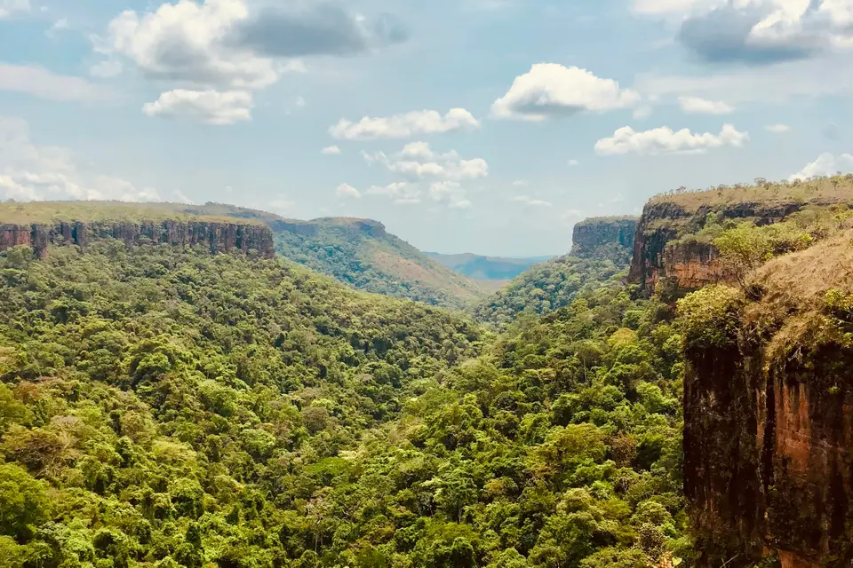 landscape photo of mountains and trees — Bonito