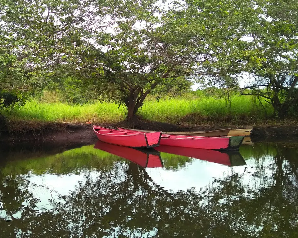 two pink boat docked near trees — Chapada Diamantina