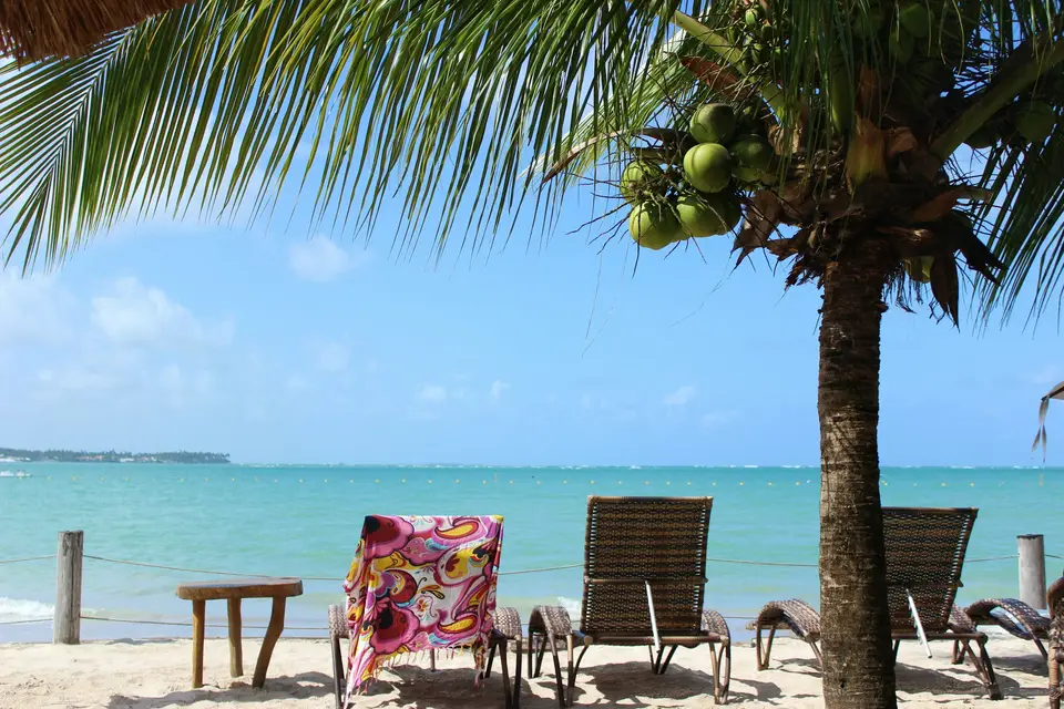 a beach with chairs and a table under a palm tree — Fernando de Noronha