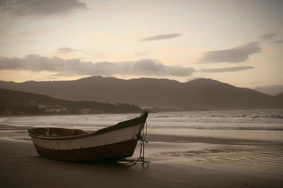 brown on seashore near body of water under cloudy sky at daytime — Florianópolis