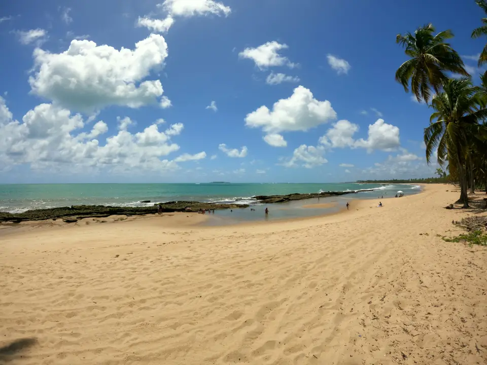 a sandy beach with palm trees and a body of water — Porto de Galinhas